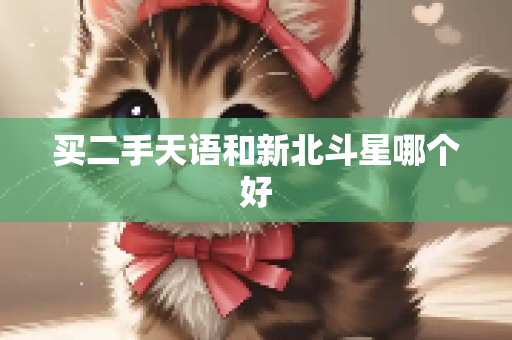 买二手天语和新北斗星哪个好