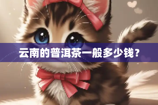 云南的普洱茶一般多少钱？