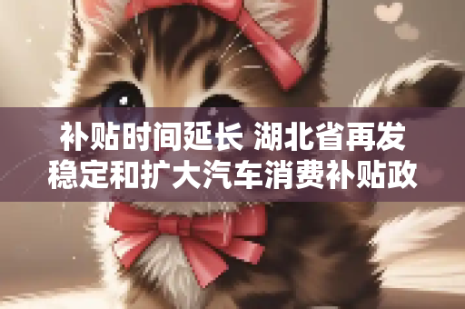 补贴时间延长 湖北省再发稳定和扩大汽车消费补贴政策