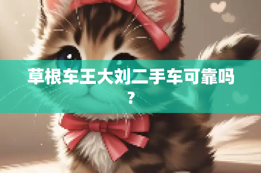 草根车王大刘二手车可靠吗?