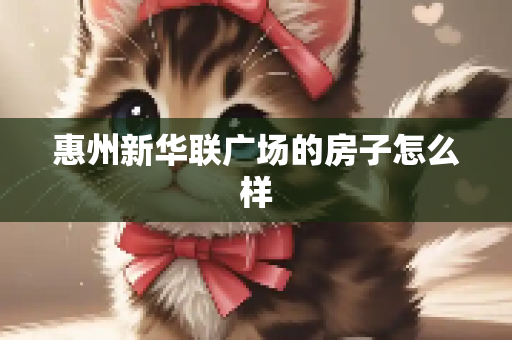 惠州新华联广场的房子怎么样