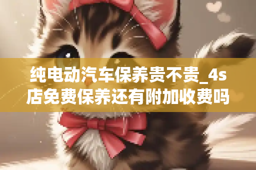 纯电动汽车保养贵不贵_4s店免费保养还有附加收费吗