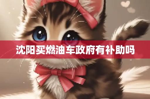 沈阳买燃油车政府有补助吗