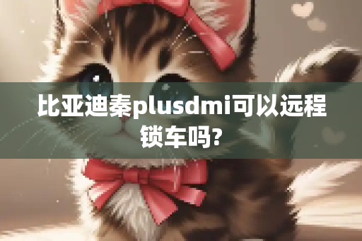 比亚迪秦plusdmi可以远程锁车吗?