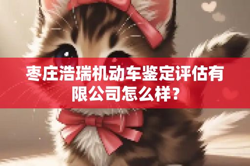 枣庄浩瑞机动车鉴定评估有限公司怎么样？