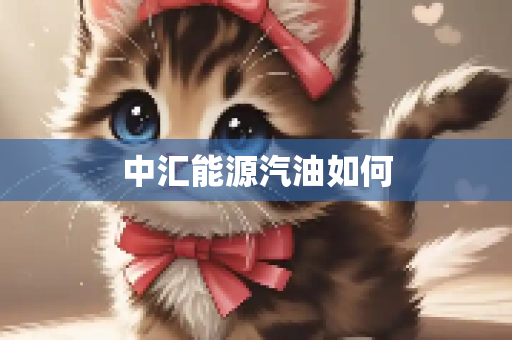 中汇能源汽油如何