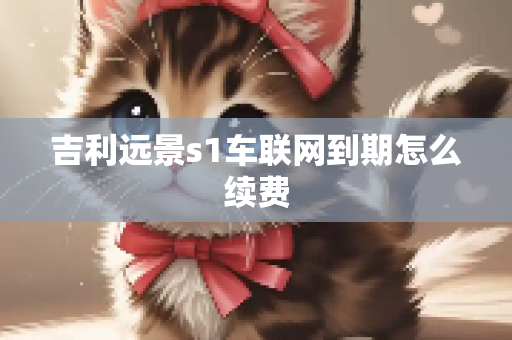 吉利远景s1车联网到期怎么续费