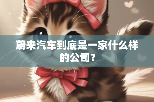 蔚来汽车到底是一家什么样的公司？