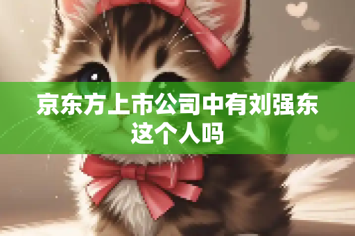 京东方上市公司中有刘强东这个人吗