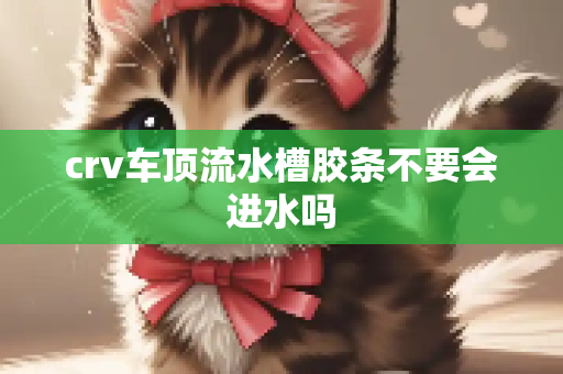 crv车顶流水槽胶条不要会进水吗