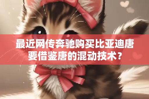 最近网传奔驰购买比亚迪唐要借鉴唐的混动技术？