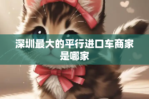深圳最大的平行进口车商家是哪家