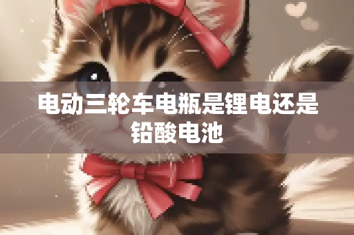 电动三轮车电瓶是锂电还是铅酸电池