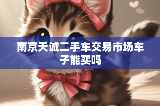 南京天诚二手车交易市场车子能买吗