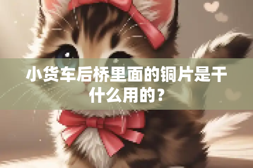小货车后桥里面的铜片是干什么用的？
