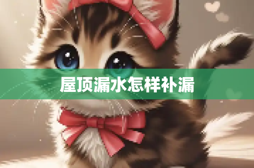屋顶漏水怎样补漏