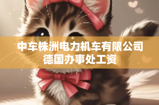 中车株洲电力机车有限公司德国办事处工资