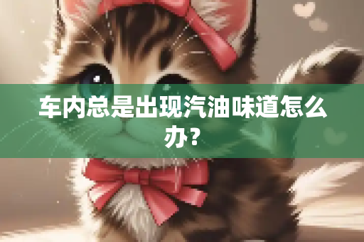 车内总是出现汽油味道怎么办？