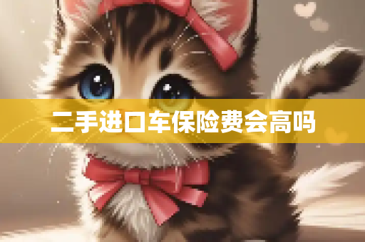 二手进口车保险费会高吗