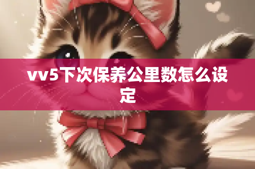 vv5下次保养公里数怎么设定