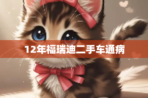 12年福瑞迪二手车通病