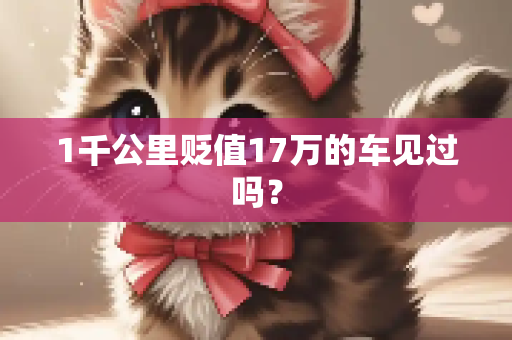 1千公里贬值17万的车见过吗？