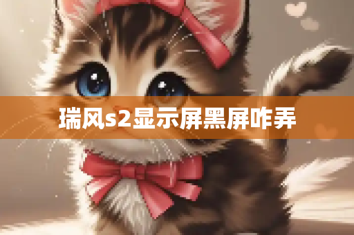 瑞风s2显示屏黑屏咋弄