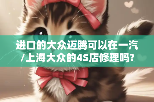 进口的大众迈腾可以在一汽/上海大众的4S店修理吗?
