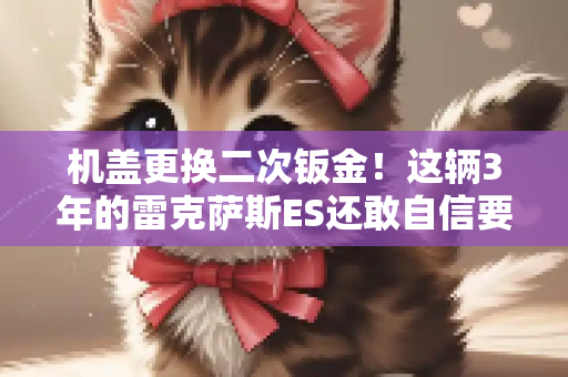 机盖更换二次钣金！这辆3年的雷克萨斯ES还敢自信要价28万？