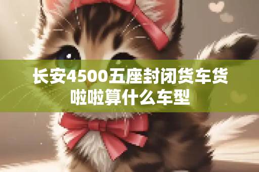 长安4500五座封闭货车货啦啦算什么车型