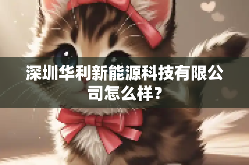 深圳华利新能源科技有限公司怎么样？