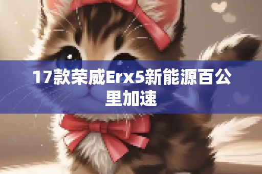 17款荣威Erx5新能源百公里加速