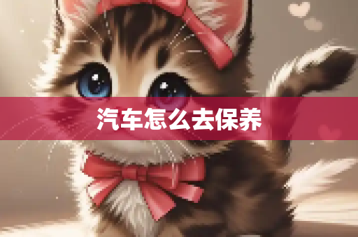 汽车怎么去保养