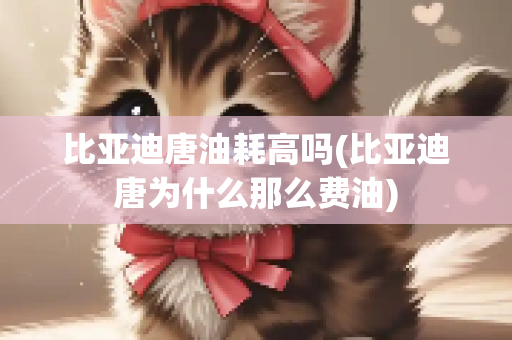 比亚迪唐油耗高吗(比亚迪唐为什么那么费油)