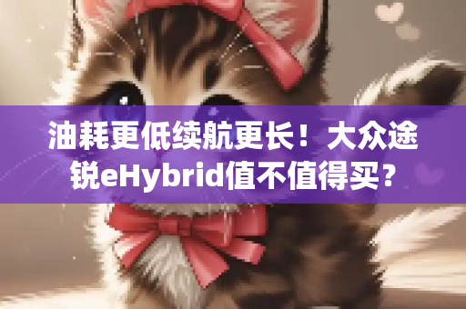 油耗更低续航更长！大众途锐eHybrid值不值得买？