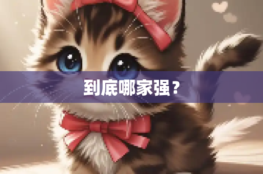 到底哪家强？