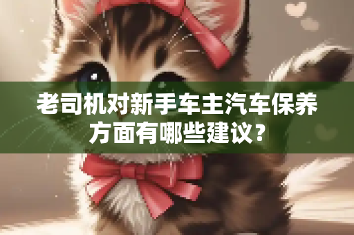 老司机对新手车主汽车保养方面有哪些建议？