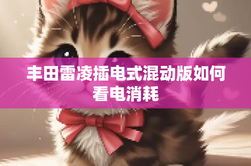 丰田雷凌插电式混动版如何看电消耗