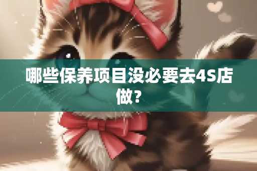 哪些保养项目没必要去4S店做？