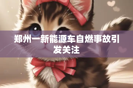 郑州一新能源车自燃事故引发关注