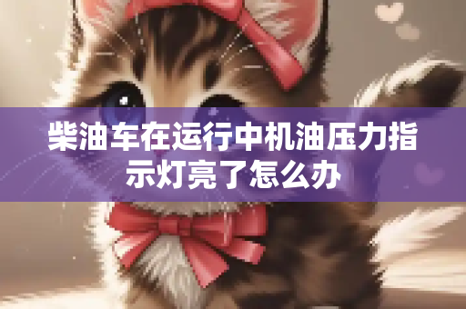 柴油车在运行中机油压力指示灯亮了怎么办