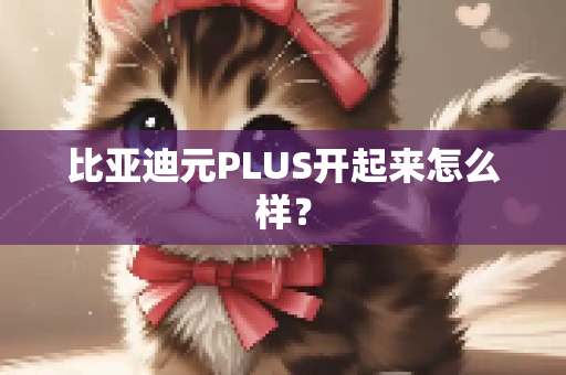 比亚迪元PLUS开起来怎么样？