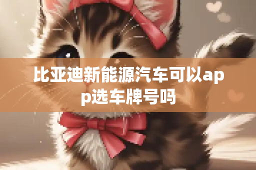 比亚迪新能源汽车可以app选车牌号吗