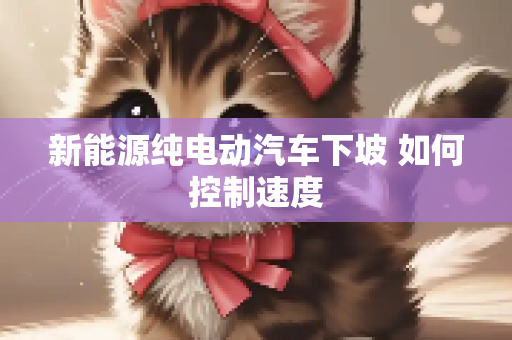 新能源纯电动汽车下坡 如何控制速度