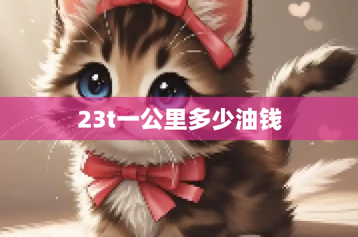 23t一公里多少油钱