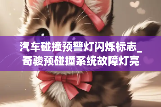 汽车碰撞预警灯闪烁标志_奇骏预碰撞系统故障灯亮