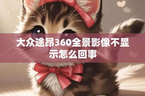 大众途昂360全景影像不显示怎么回事