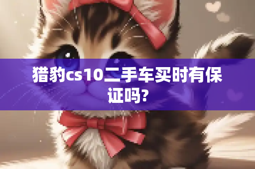 猎豹cs10二手车买时有保证吗?