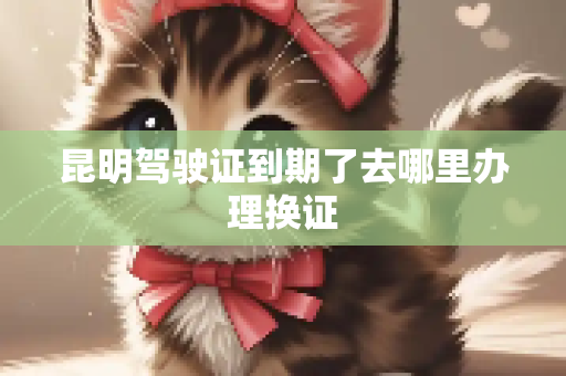 昆明驾驶证到期了去哪里办理换证
