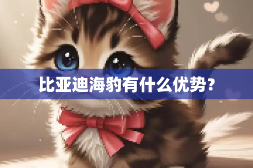 比亚迪海豹有什么优势？